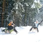 Alpenblick Appart hôtel 3*