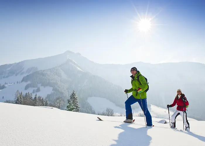 Alpenblick Lägenhetshotell 3*